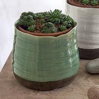 green ninomaru plant pot