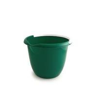 green plastic 10 litre bucket handle