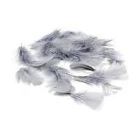 Grey Craft Feathers