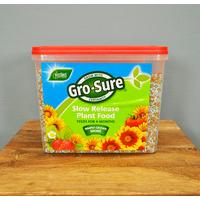 Gro-Sure Slow Release Plant Food Granules (2kg) by Westland
