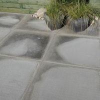 Grey Paving Slab (L)600 (W)600mm Pack of 22 7.92m²