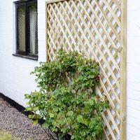 Grange Madeley Lattice Trellis 1.8m