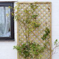 Grange Elite Square Lattice Trellis 0.9m