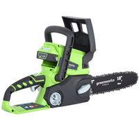 greenworks greenworks gwg24csk2 24v 250mm chainsaw 1x20ah battery