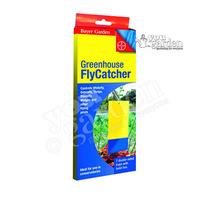 greenhouse flycatcher sticky traps pack x 7