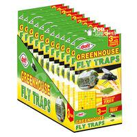 greenhouse sticky traps 3 pack