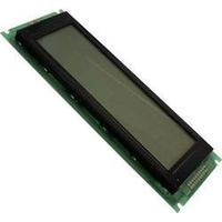 Graphics display Grey Green 240 x 64 pix (W x H x D) 65 x 14 x 180 mm LUMEX