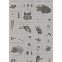 Graduate Collection Wallpapers Ornithology, PC1ORNWAL