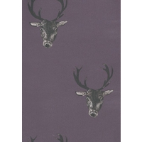 graduate collection wallpapers stag print plum 29492