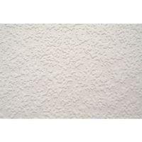 Graham & Brown Superfresco White Stipple Paintable Wallpaper