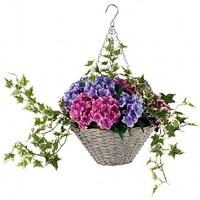 Grey Hydrangea Hanging Basket