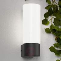 Graceful outdoor wall light Gray, without sensor