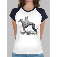 greyhound shirt divine girl