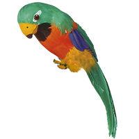 Green Feathered Parrot Decoration