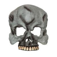 grey skull halloween half mask