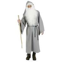 Grey Men\'s Wizard Cloak Costume