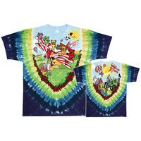 grateful dead bi plane bears