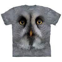 Great Grey Owl Face
