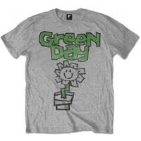 Green Day Flower Pot Mens Grey T Shirt: X Large