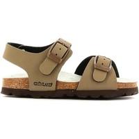 grunland sb0025 sandals kid boyss childrens sandals in beige