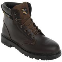 Grafters Apprentice Safety Boot - Dark Brown