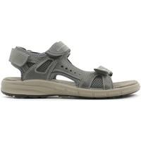 Grunland SA1385 Sandals Man men\'s Sandals in grey
