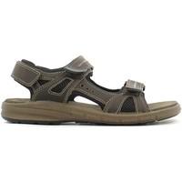 Grunland SA1385 Sandals Man men\'s Sandals in brown