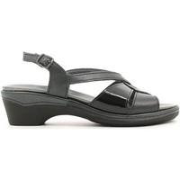 grunland se0068 sandals women black womens sandals in black