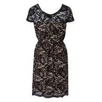 Grazia Contrast Lace Cap Sleeve Dress