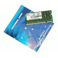 G.SKill 1GB SO-DIMM DDR2 PC2-5400 (F2-5400PHU1-1GBSA) CL5