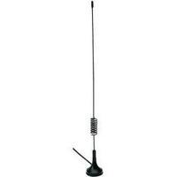 GSM antenna Olympia 5915
