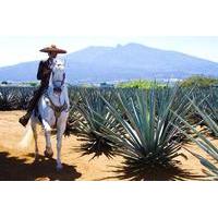 guadalajara tequila and tlaquepaque overnight tour from puerto vallart ...