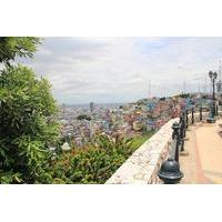 Guayaquil Half-Day City Tour Including The Malecon and Las Peñas Neighborhood
