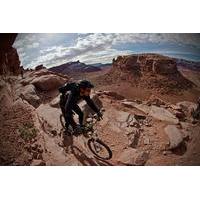 guided half day mountain bike tour in moab