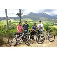 guided bike tour of stellenbosch