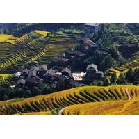 Guilin Bus Tour of Longji Rice Terraces at Jinkeng Village