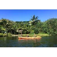 guided kayak adventure on the wailua river