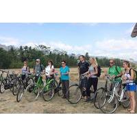 Guided Bike Tour of Central Java Village with Lunch