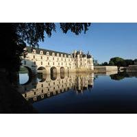 Guided Loire Castle Tour from Paris by Minibus