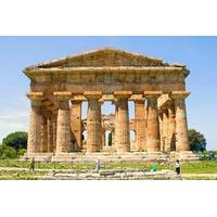 Guided Visit to the Greek Temples in Paestum and Bufala Mozzarella\'s Bio Farm in Paestum