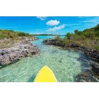 Guided Stand Up Paddleboard Tour Through Mangrove Estuaries