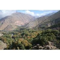 Guided Day Trip to Atlas Mountains from Marrakech