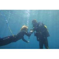 Guided Beginners Diving Session in Mallorca