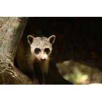 Guayaquil Historical Park Tour