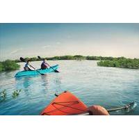 Guided Tour Kayaking Eastern Mangrove Abu Dhabi
