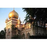 Guided Cultural Tour of Singapore?s Little India, Chinatown and Kampong Glam