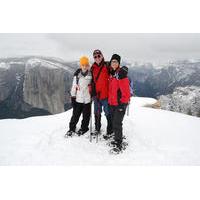 Guided Snowshoe Hike in Yosemite