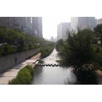 Guided Morning Tour in Seoul including the National Museum, Cheonggyecheon Stream and an Amethyst Factory
