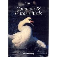 Guide to Common and Garden Birds DVD
