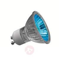 GU10 50W halogen reflector bulb Truecolor blue